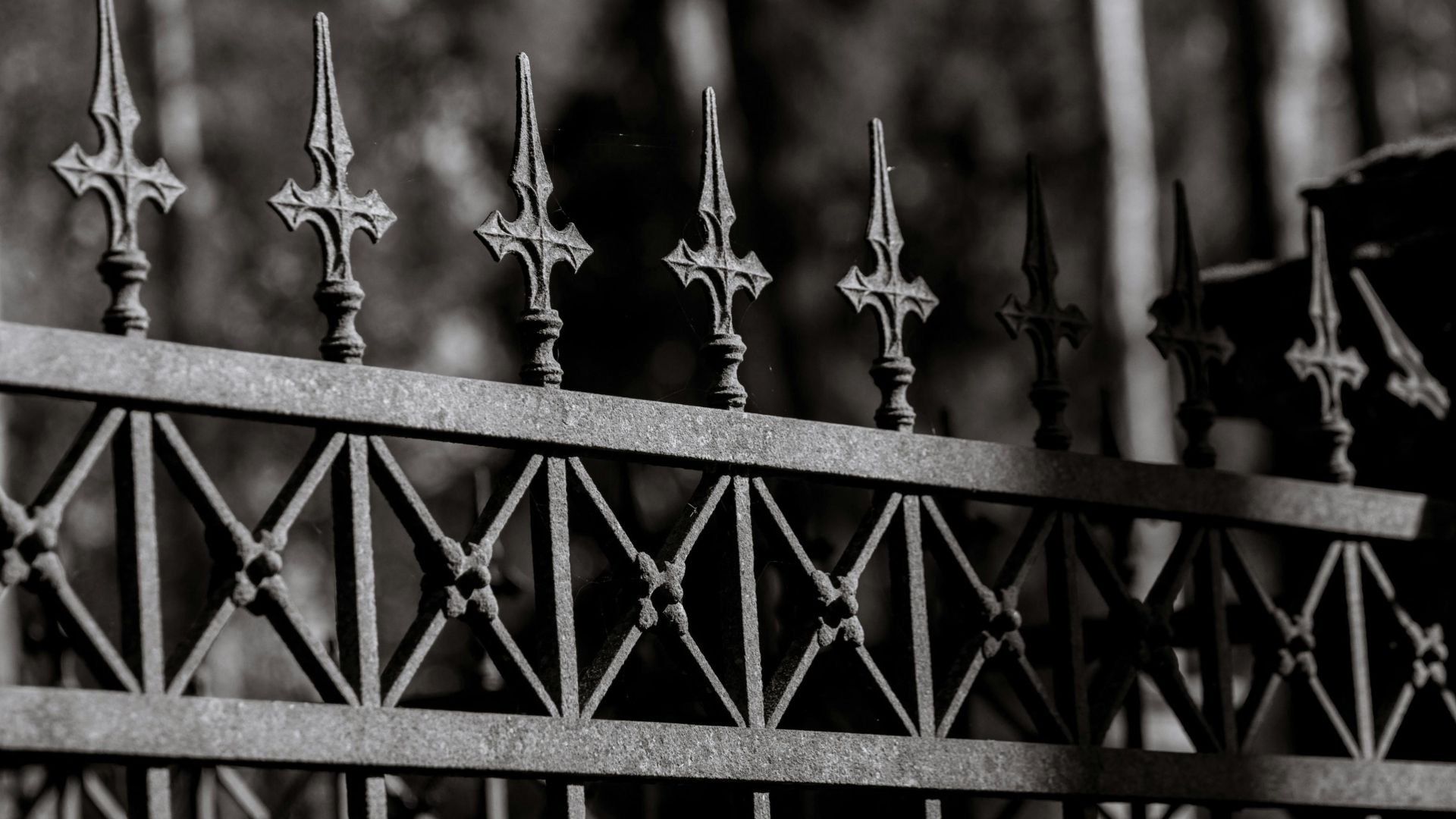 Ornate black and white wrought iron fence with pointed cross-like finials
